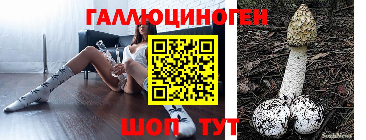 Псилоцибиновые грибы GOLDEN TEACHER  Галлюциногенные грибы MAGIC MUSHROOMS  Знаменск  Вход с VPN 